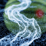 シトルリンの効果｜”科学が示す可能性”と”サプリ摂取の注意点”